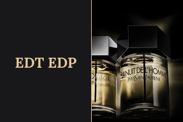 edt edp