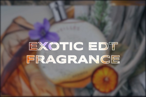 exotic edt fragrance